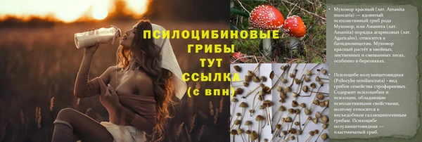 каннабис Алзамай