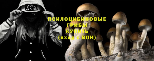 каннабис Алзамай