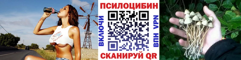 Галлюциногенные грибы мицелий  Игарка 